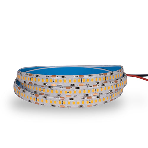 Tiras y Mangeras LED